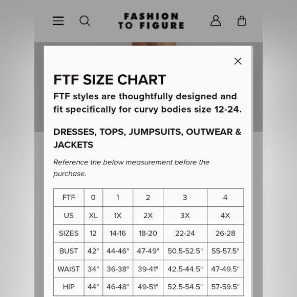 Garnerstyle x FTF VNeck Tan One Piece Swimsuit NWT - Picture 6 of 6